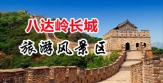 考逼视频网站免费看中国北京-八达岭长城旅游风景区